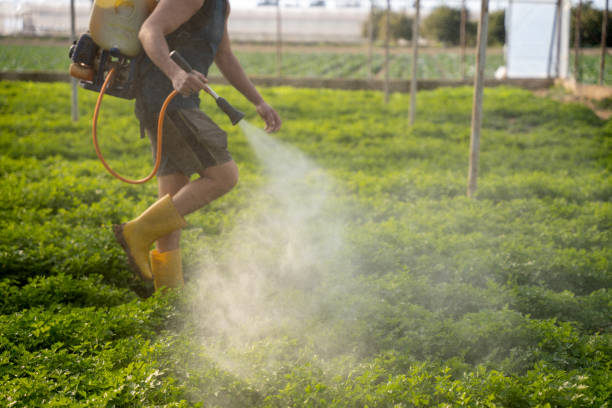 Reliable Clyde Hill, WA Pest Control Solutions